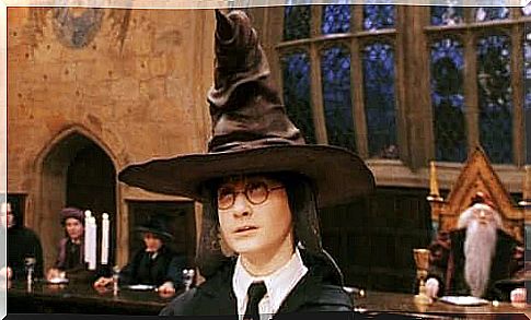 Harry Potter and the Sorting Hat