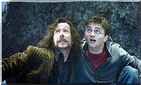 Harry Potter and Sirius Black