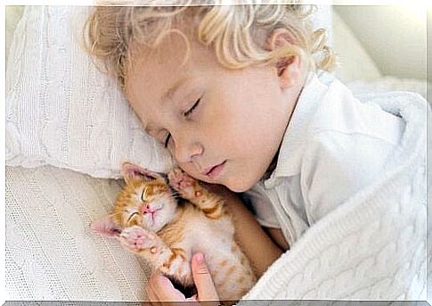 A baby with a kitten