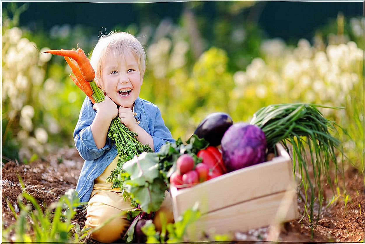 Should we add salt to children's food