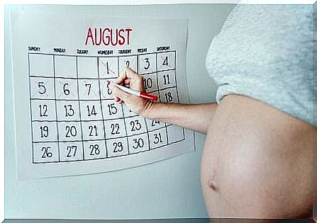 Due date calendar