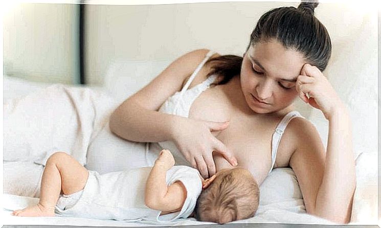 What are the components of breast milk