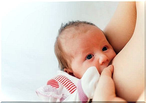 What are the components of breast milk