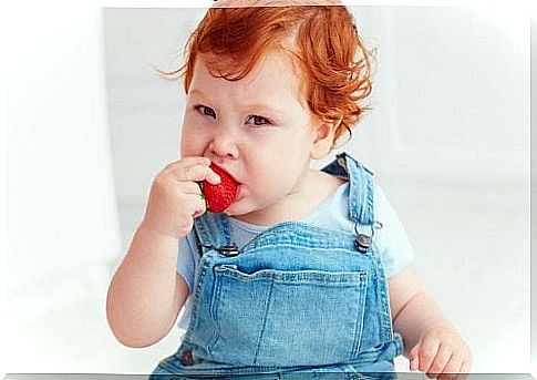 Baby eats a strawberry