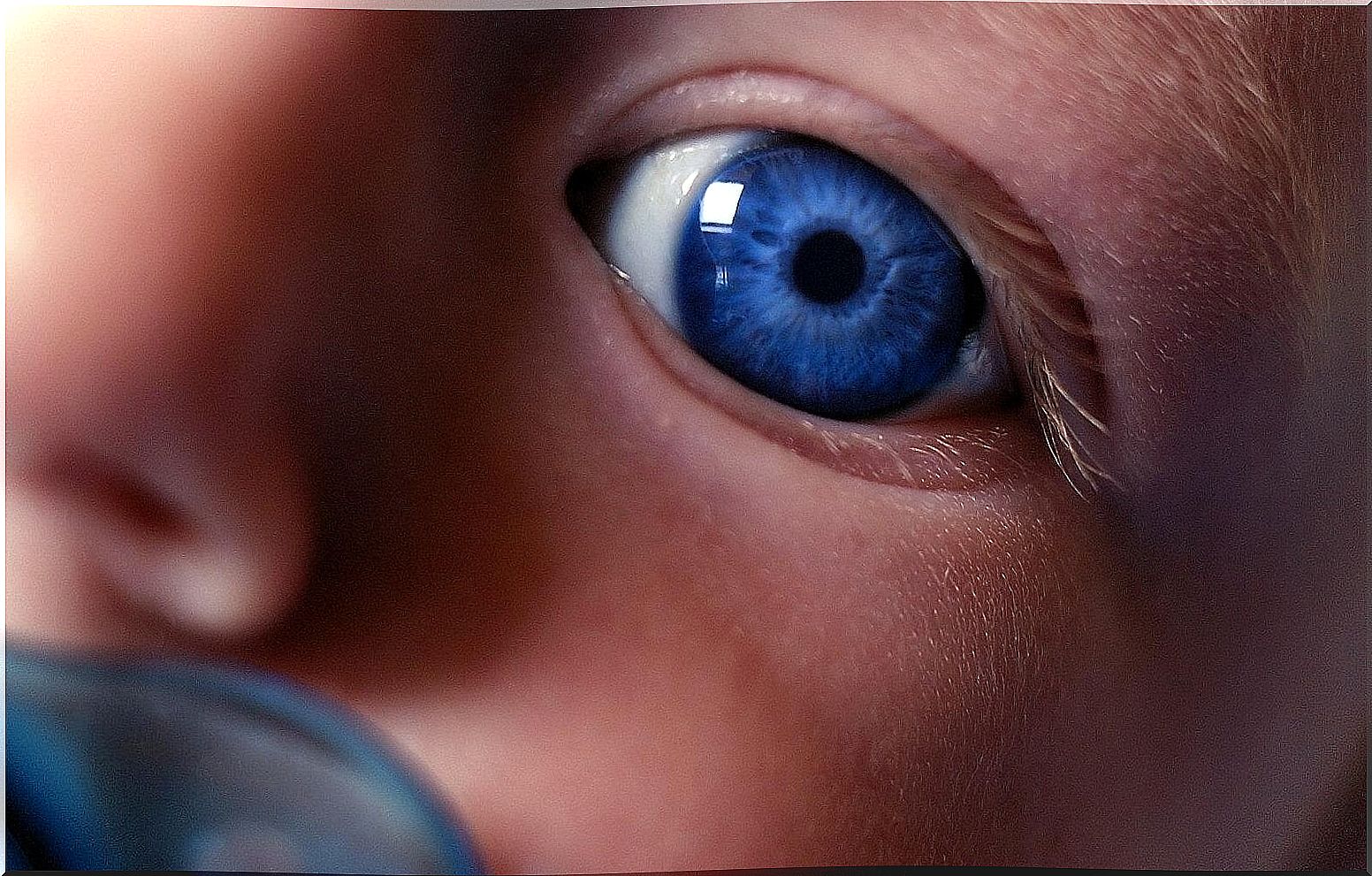 Your baby's eyes: when a newborn discovers you